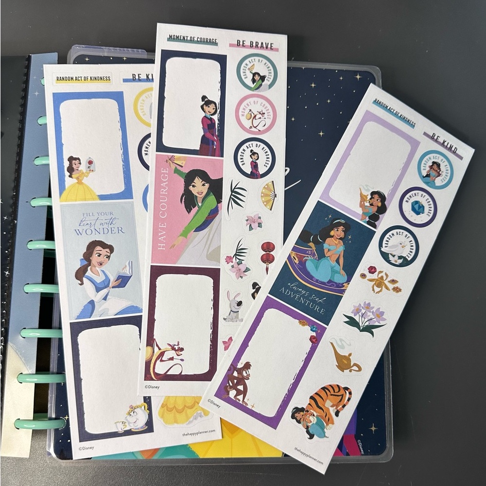 Disney Princess Planner - Picture 7 of 8